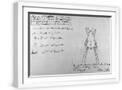 White Frame