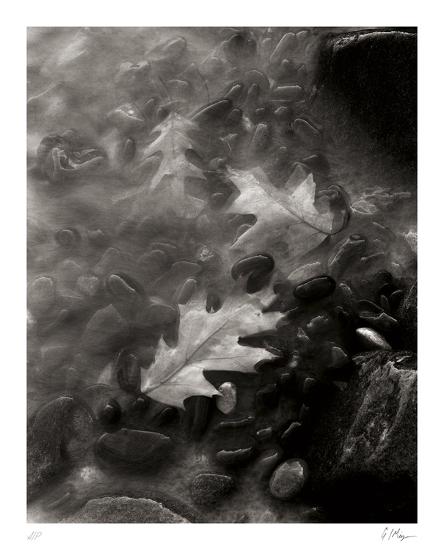 Collectable Print, , large