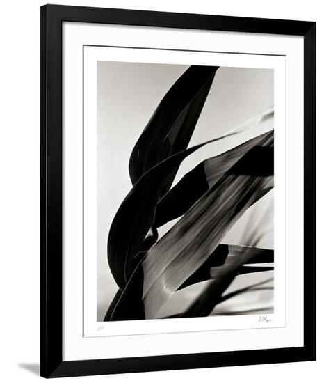 Collectable Print, , large