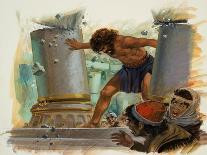 Samson-Andrew Howat-Giclee Print