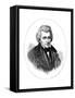 Andrew Jackson, 7th President of the United States-null-Framed Stretched Canvas
