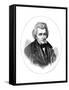 Andrew Jackson, 7th President of the United States-null-Framed Stretched Canvas