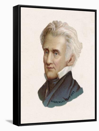 Andrew Jackson 7th President of the United States-null-Framed Stretched Canvas