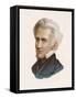 Andrew Jackson 7th President of the United States-null-Framed Stretched Canvas