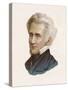 Andrew Jackson 7th President of the United States-null-Stretched Canvas