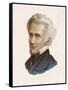 Andrew Jackson 7th President of the United States-null-Framed Stretched Canvas