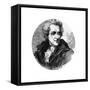 Andrew Jackson, Seventh President of the United States-null-Framed Stretched Canvas