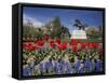 Andrew Jackson Statue, Washington, D.C., USA-null-Framed Stretched Canvas