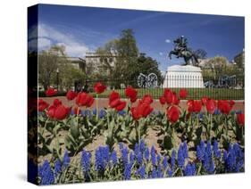 Andrew Jackson Statue, Washington, D.C., USA-null-Stretched Canvas