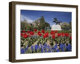 Andrew Jackson Statue, Washington, D.C., USA-null-Framed Photographic Print