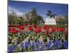 Andrew Jackson Statue, Washington, D.C., USA-null-Mounted Photographic Print