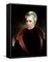 Andrew Jackson-Ralph Eleaser Whiteside Earl-Framed Stretched Canvas