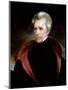 Andrew Jackson-Ralph Eleaser Whiteside Earl-Mounted Giclee Print