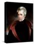 Andrew Jackson-Ralph Eleaser Whiteside Earl-Stretched Canvas