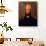 Andrew Jackson-Jacob Eichholtz-Giclee Print displayed on a wall