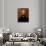 Andrew Jackson-Jacob Eichholtz-Giclee Print displayed on a wall