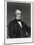 Andrew Johnson, 17th President of the United States of America-Mathew Brady-Mounted Giclee Print