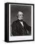 Andrew Johnson, 17th President of the United States of America-Mathew Brady-Framed Stretched Canvas