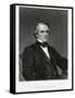 Andrew Johnson, 17th President of the United States of America-Mathew Brady-Framed Stretched Canvas