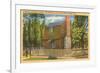 Andrew Johnson Birthplace, Raleigh, North Carolina-null-Framed Art Print