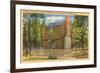 Andrew Johnson Birthplace, Raleigh, North Carolina-null-Framed Art Print