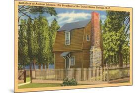 Andrew Johnson Birthplace, Raleigh, North Carolina-null-Mounted Art Print