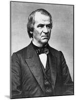 Andrew Johnson, C.1855-65 (B/W Photo)-Mathew & studio Brady-Mounted Giclee Print