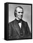 Andrew Johnson, C.1855-65 (B/W Photo)-Mathew & studio Brady-Framed Stretched Canvas