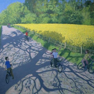 Cyclists and Yellow Field, Kedleston, Derby