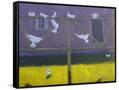 Canvas Black