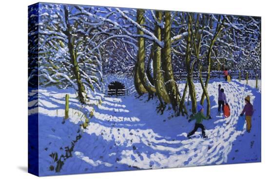 Stretched Canvas Print, , large