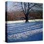 Stretched Canvas