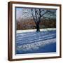 Brown Frame
