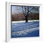 White Frame