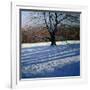 Gramercy White