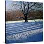 Stretched Canvas