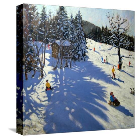 Stretched Canvas Print, , large