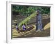 Chelsea White