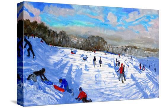 Stretched Canvas Print, , large