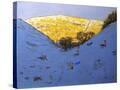 Stretched Canvas