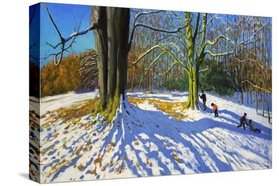 Stretched Canvas Print, , large