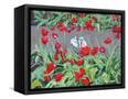 Canvas Black