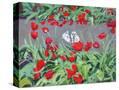 Stretched Canvas