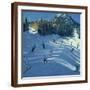 Brown Frame