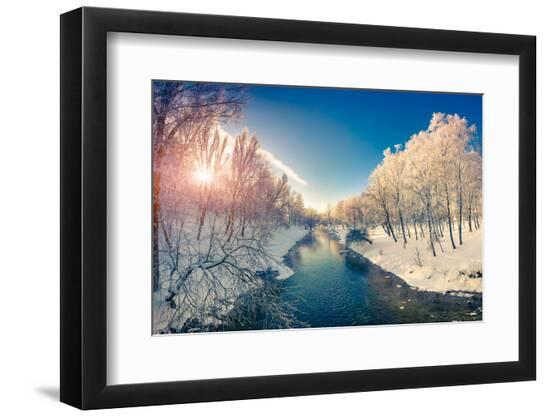Premium Photographic Print, , large