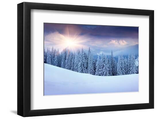 Photographic Print, , large