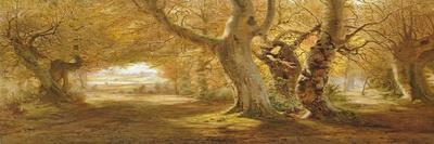 A Wooded Landscape, 1887-Andrew Mccallum-Laminated Giclee Print