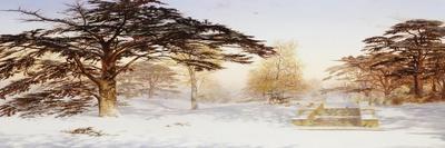 Untrodden Snow Within Three Miles of Charing Cross, Holland Park-Andrew Mccallum-Stretched Canvas