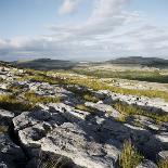 Burren, County Clare, Munster, Republic of Ireland, Europe-Andrew Mcconnell-Photographic Print