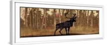 White Frame